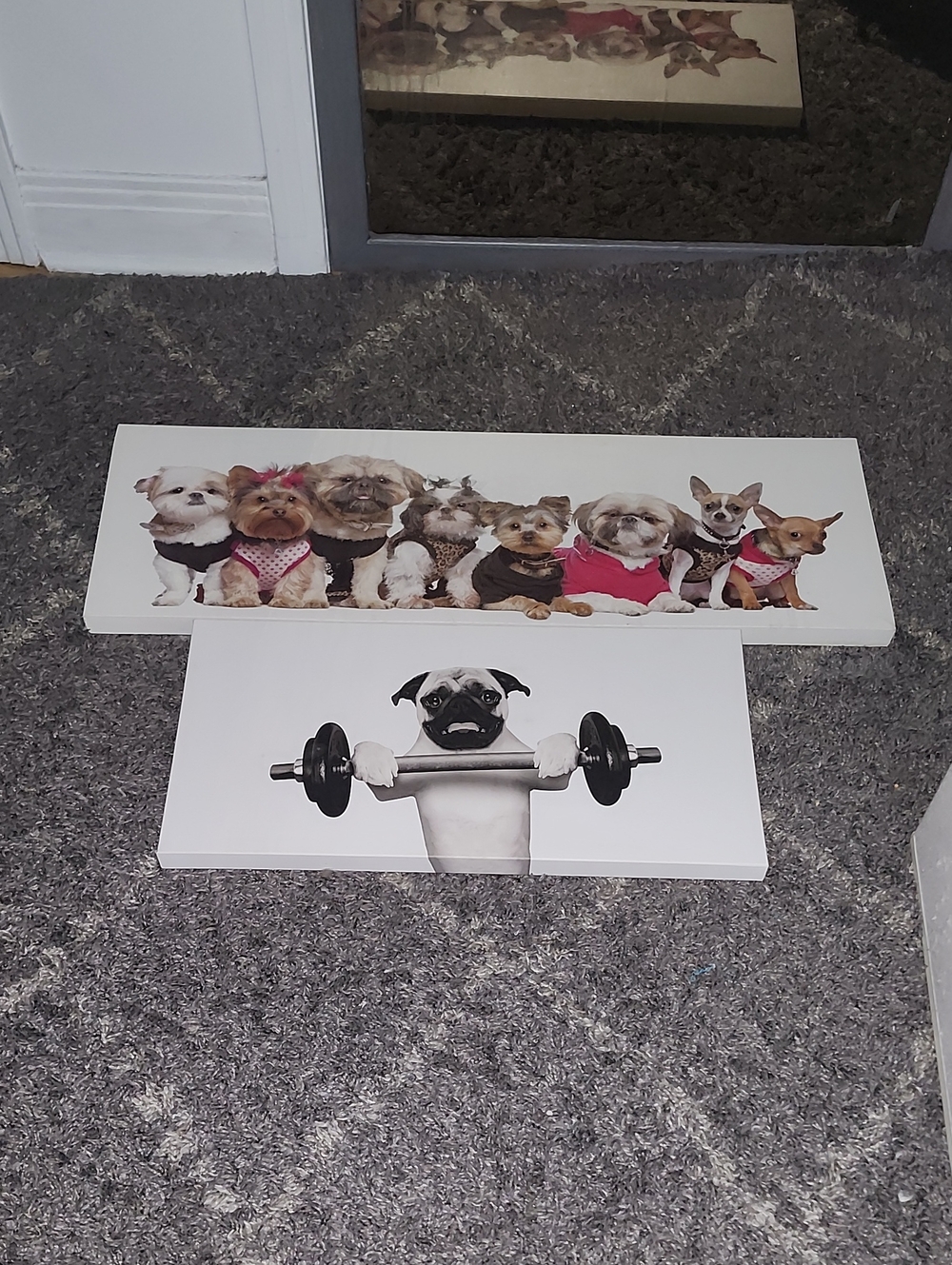 Dog Wall Art Panel Set – White and Black Puppy Prints